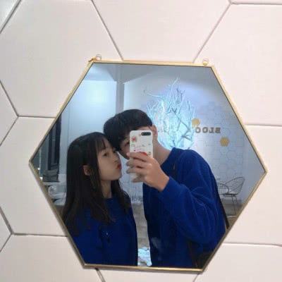 神犬小七游戏破解版下载