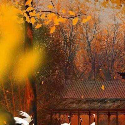 驯兽师联盟官方